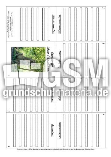 Faltbuch-Löwe-2.pdf